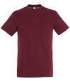 11380 Regent T-shirt Burgundy colour image